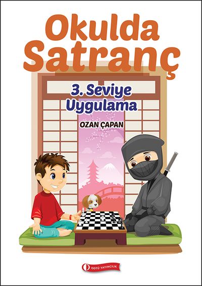 3. seviye